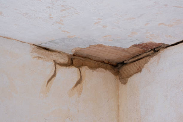 Best Carpet water damage restoration  in Kouts, IN