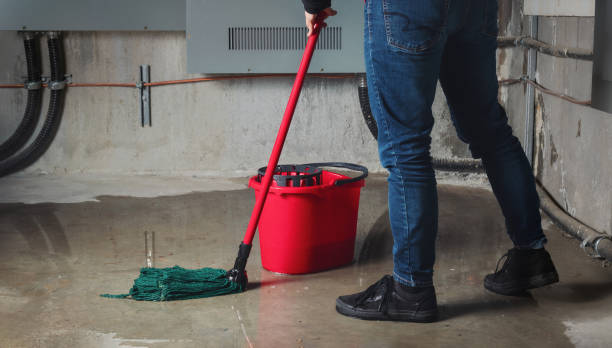 Water damage restoration mold remediation in Kouts, IN
