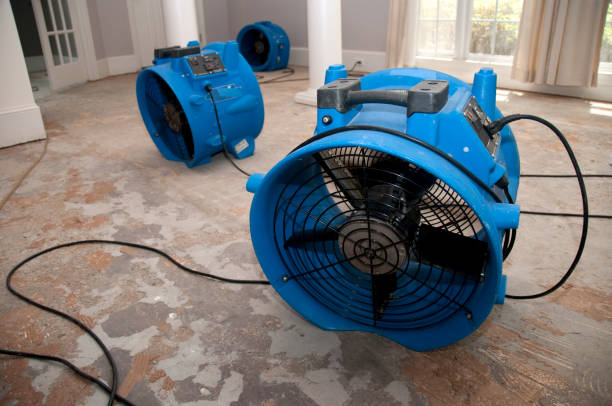 Best Local water damage restoration  in Kouts, IN