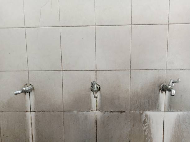 Best Flooded house restoration  in Kouts, IN