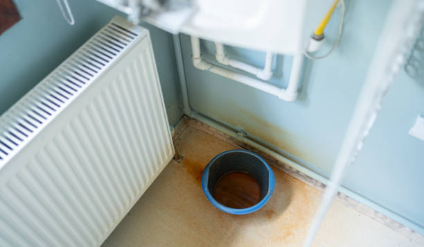 Best Sewage cleanup and water damage restoration  in Kouts, IN