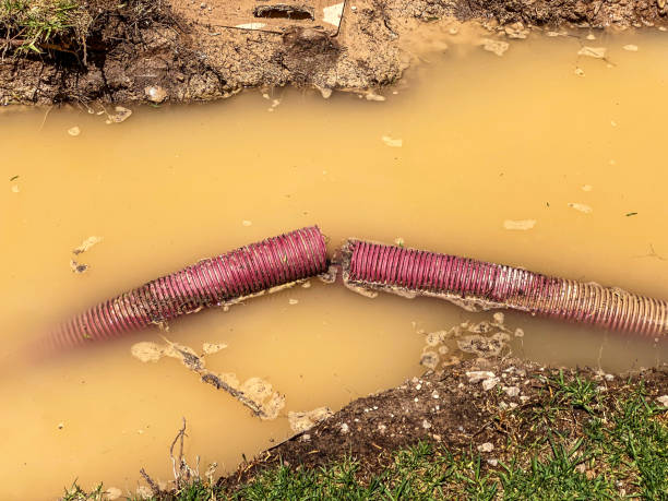 Best Water damage contractors near me  in Kouts, IN